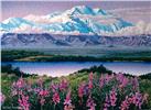 Perennial Flowers-Mt.Mckinley by Gail Niebrugge