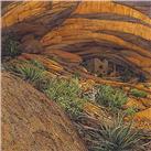 Mesa Ruins by Bev Doolittle