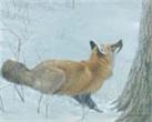 Game Over Fox and Maple by Robert Bateman