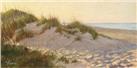Light Steps by Mary Erickson