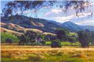 September Gold by June Carey