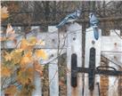Talk on the old fence by Carl brenders