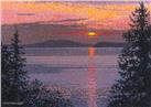 Scarlet Sky By Gail Niebrugge
