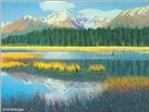 Grassy Wetlands by Gail Niebrugge
