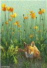 Poppy Patch Fox by Gail Niebrugge