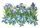 Iris And Forget-Me-Not by Gail Niebrugge