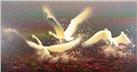 Spring of Flight by Gail Niebrugge