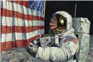 Straightening our Stripes by Alan Bean