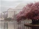Pillars of Freedom by Rod Chase