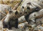 Alaska Chat by Carl Brenders