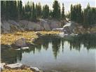 Still Waters by Carole Cooke