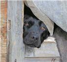 Let Me Out by John Bye