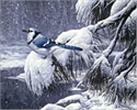 Twilight Snow by Stephan Lyman