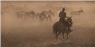 Changing Pasture by Robert Dawson