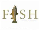 "FISH" Hardcover Book artwork by Flick Ford