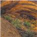 Mesa Ruins by Bev Doolittle
