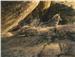 Coyote afternoon by Stephan Lyman