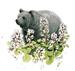 Bearflower Bear by Gail Niebrugge