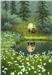 Cotton Grass Bear by Gail Niebrugge