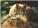 Hidden Secrets by Bonnie Marris